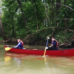 2003