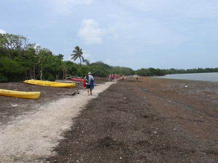 IMG 0622