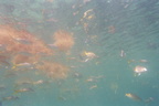 2006 Activities
