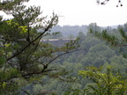 2007 Activities