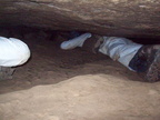 2009