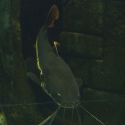 2009
